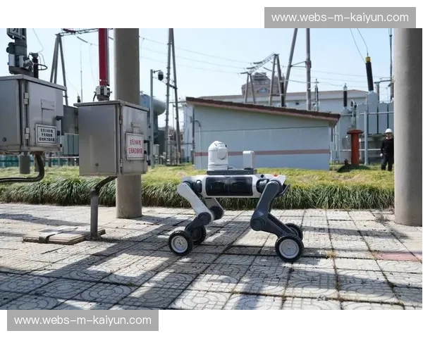 机器狗摄像系统适应复杂拍摄场景，突破传统固定机位限制